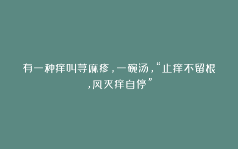 有一种痒叫荨麻疹，一碗汤，“止痒不留根，风灭痒自停”