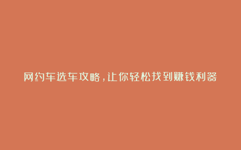 网约车选车攻略，让你轻松找到赚钱利器！