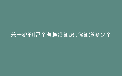 关于驴的12个有趣冷知识，你知道多少个？