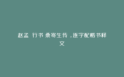 赵孟頫｜行书《桑寄生传》，逐字配楷书释文